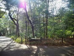 -三鹰之森吉卜力美术馆