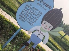 -歌斐颂巧克力小镇