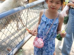 -长白岛森林公园