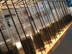 -喜茶(上海打浦桥日月光gelato lab+店)