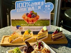 -倾城密码(大唐店)