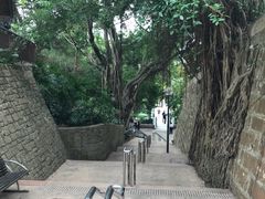 -九龙公园