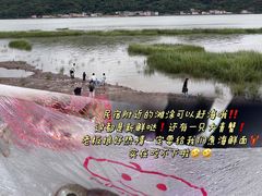 -东海半边山旅游度假区