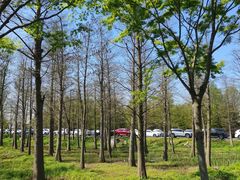 -广富林郊野公园