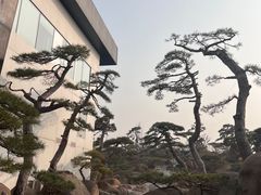 -罗红摄影艺术馆