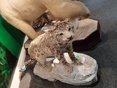 -吉林省自然博物馆