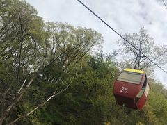 -王顺山国家森林公园