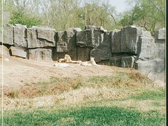 -北京野生动物园