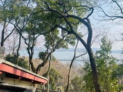 -纯真年代书吧(宝石山店)