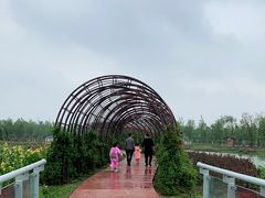 -江苏省泗阳县成子湖旅游度假区综合服务中心-停车场
