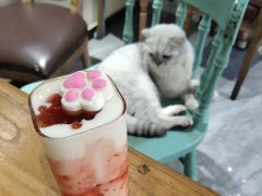 -猫小院猫主题餐厅(南锣旗舰店)