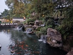 -江心屿景区