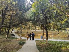 -花溪公园
