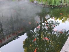 -黎阳老街