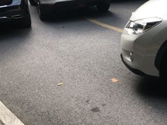 -上海星河湾双语学校