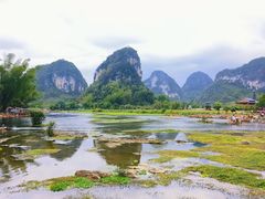 -靖西鹅泉风景区