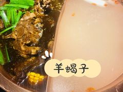 酱香羊蝎子-京韵胡同·酱香羊蝎子火锅涮肉(长寿路店)