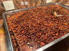 -地中海传奇水汇