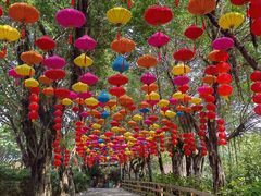 -广州长隆飞鸟乐园