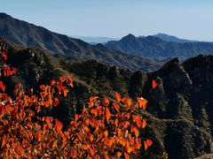 -大岭沟猕猴桃谷风景区