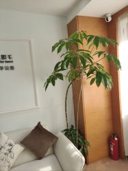 -HEYAN荷妍专业脱毛连锁机构