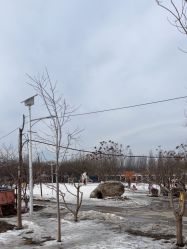 -优沃得自然教育农场·冰雪乐园·生日会·研学
