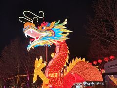 -南宫五洲植物乐园