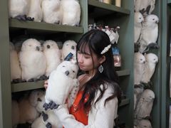 -好莱坞环球影城