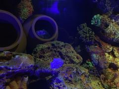 -上海海洋水族馆-停车场
