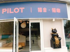 门面-飞行喵MR PILOT|猫舍·猫咖(静安大融城店)
