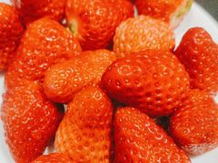 -蛙兔鸡自贡风味·特色江湖菜(广都店)