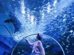 -海合安成都极地海洋公园