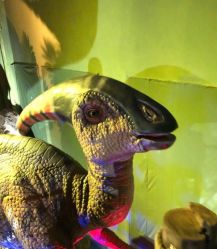 -恐龙探索乐园(磁器口店)