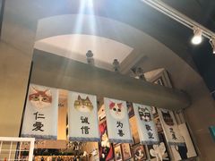 -猫咪博物馆(顶澳仔猫街店)