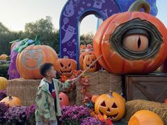 -郑州方特梦幻王国