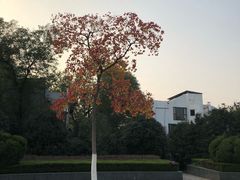 -环城公园-琥珀潭