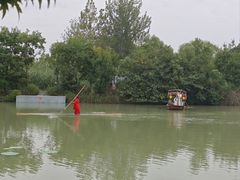 -泗洪洪泽湖湿地景区