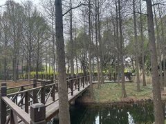 -巡塘古镇