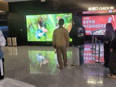 -西树泡芙(秦皇岛茂业天地店)