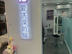 -爱洗澡的猫(望京店)