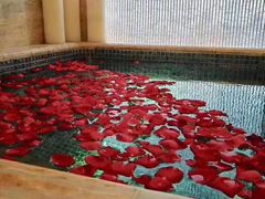 -长沙富力万达文华酒店