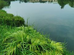 -三岔湖景区