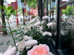 -安妮意大利餐厅(国贸店)
