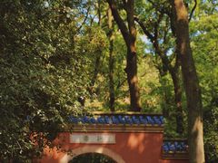 -灵谷景区