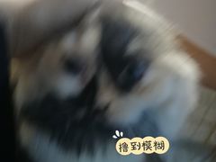 -好心里咨询Tarot塔羅