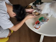 -帕帕拉兹宠物(亚洲旗舰店)