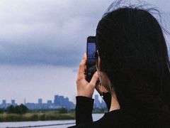 -合肥滨湖国家森林公园