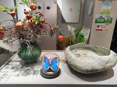 -小豆海棠(嘉兴路店)