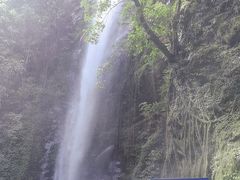 -莫里热带雨林景区