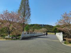 -羊山湖公园